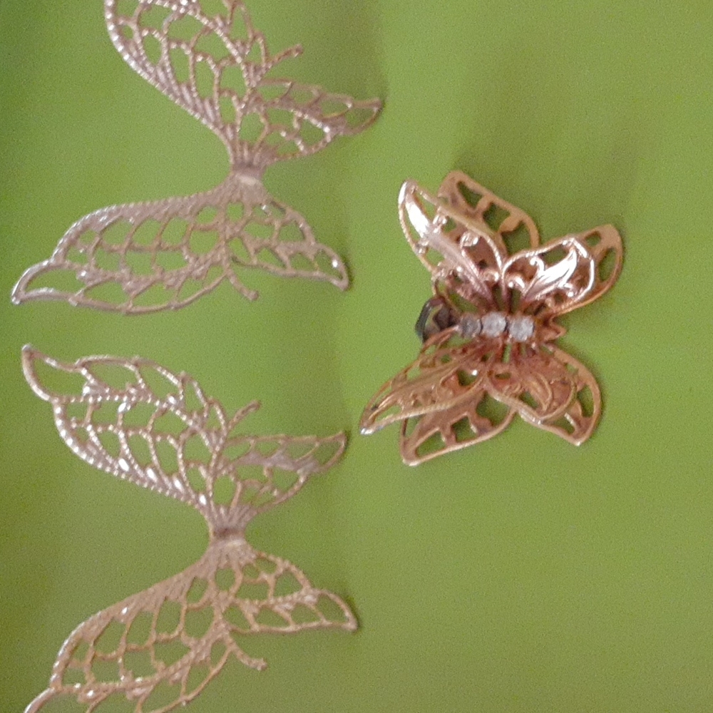 Butterflies